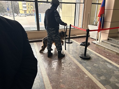 ����������