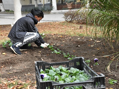 �� ��������� ������� ���������  ������������ �������� �����
